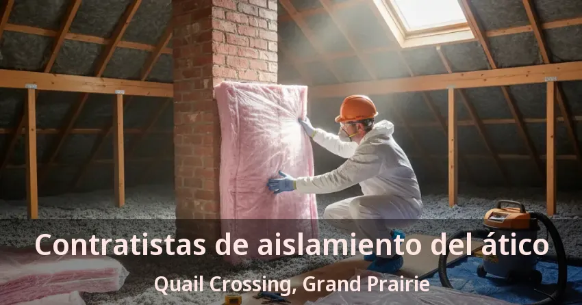 Contratistas de aislamiento del ático Quail Crossing, Grand Prairie - TX