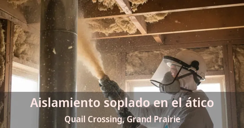 Aislamiento soplado en el ático Quail Crossing, Grand Prairie - TX Aislamiento soplado en el ático Quail Crossing, Grand Prairie - TX