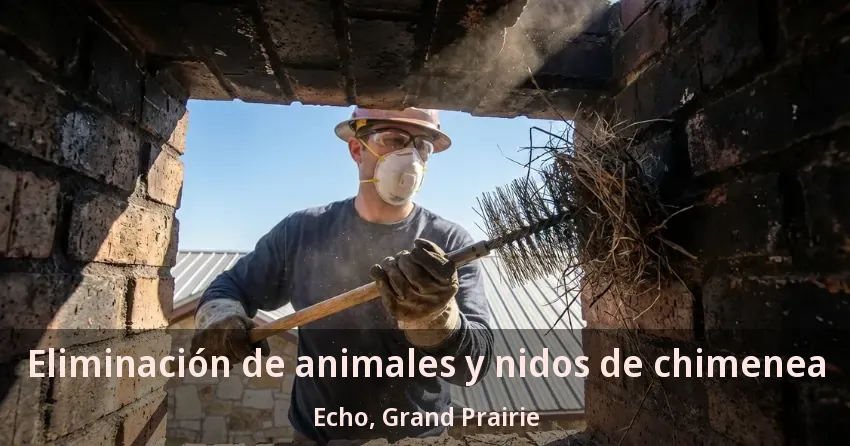 Eliminación de animales y nidos de chimenea Echo, Grand Prairie - TX
