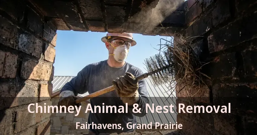 Chimney Animal & Nest Removal Fairhavens, Grand Prairie - TX
