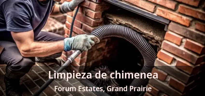 Limpieza de chimenea Forum Estates, Grand Prairie - TX Limpieza de chimenea Forum Estates, Grand Prairie - TX