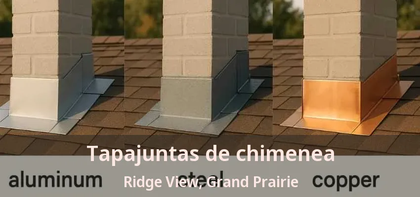 Tapajuntas de chimenea Ridge View, Grand Prairie - TX Tapajuntas de chimenea Ridge View, Grand Prairie - TX