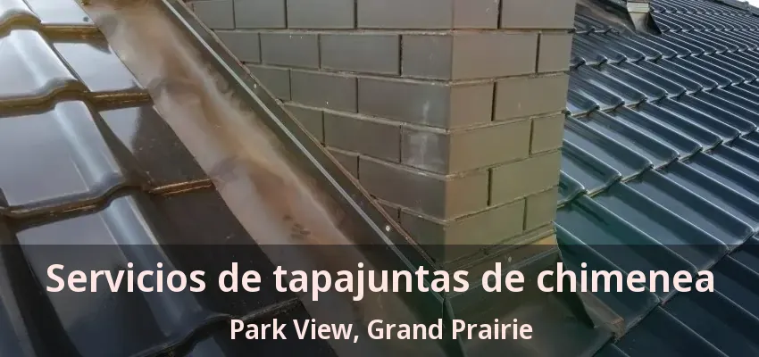Servicios de tapajuntas de chimenea Park View, Grand Prairie - TX Servicios de tapajuntas de chimenea Park View, Grand Prairie - TX