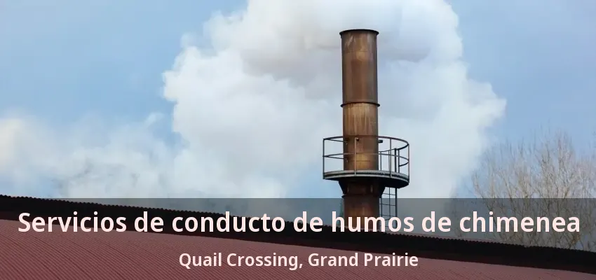 Servicios de conducto de humos de chimenea Quail Crossing, Grand Prairie - TX