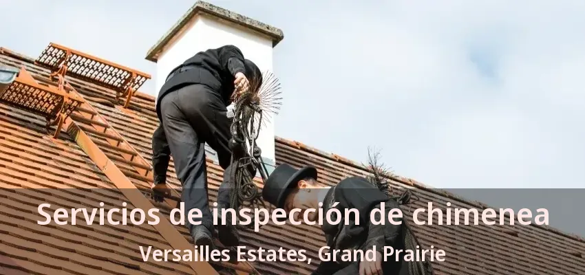 Servicios de inspección de chimenea Versailles Estates, Grand Prairie - TX