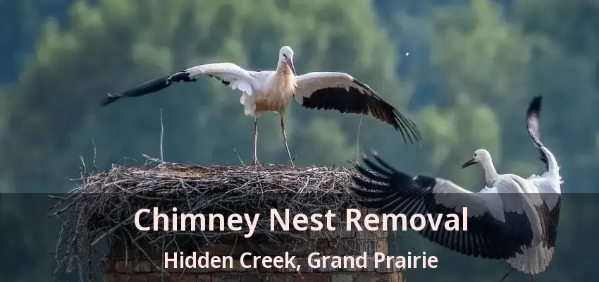 Chimney Nest Removal Hidden Creek, Grand Prairie - TX Chimney Nest Removal Hidden Creek, Grand Prairie - TX