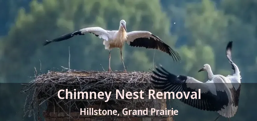 Chimney Nest Removal Hillstone, Grand Prairie - TX Chimney Nest Removal Hillstone, Grand Prairie - TX
