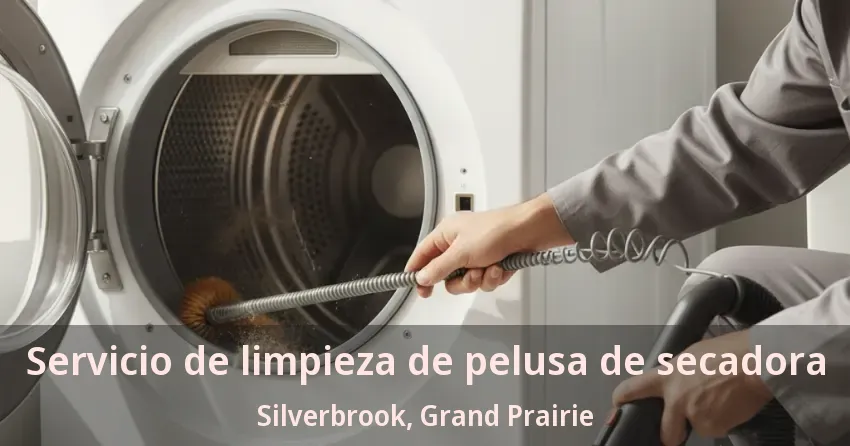 Servicio de limpieza de pelusa de secadora Silverbrook, Grand Prairie - TX Servicio de limpieza de pelusa de secadora Silverbrook, Grand Prairie - TX