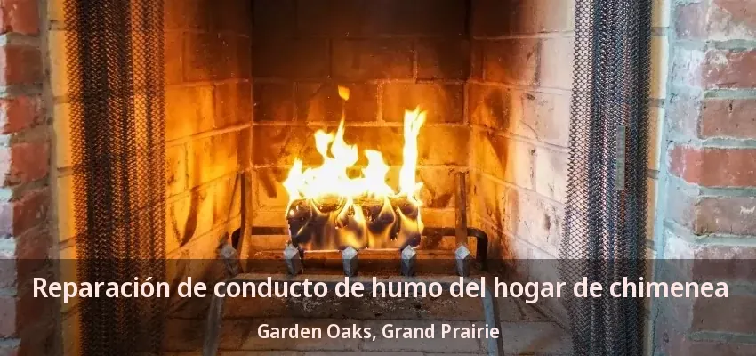 Reparación de conducto de humo del hogar de chimenea Garden Oaks, Grand Prairie - TX