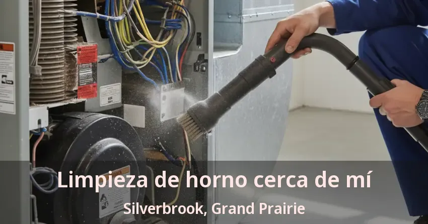 Limpieza de horno cerca de mí Silverbrook, Grand Prairie - TX