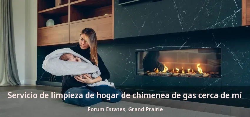 Servicio de limpieza de hogar de chimenea de gas cerca de mí Forum Estates, Grand Prairie - TX