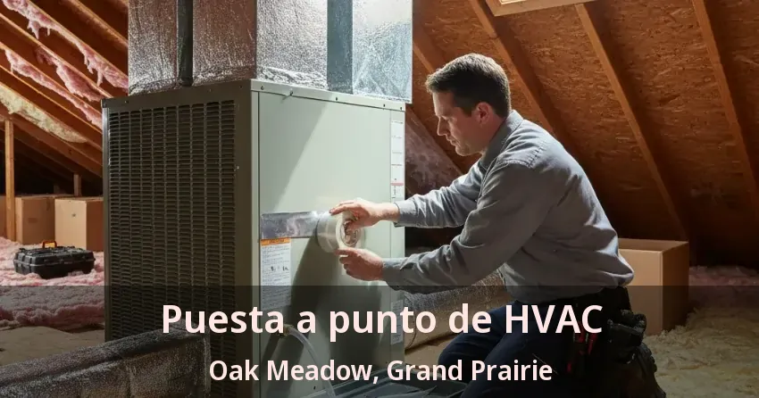 Puesta a punto de HVAC Oak Meadow, Grand Prairie - TX Puesta a punto de HVAC Oak Meadow, Grand Prairie - TX