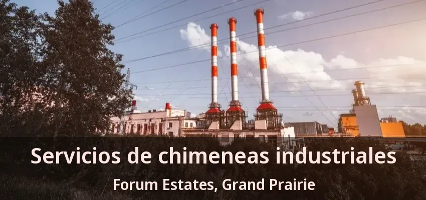 Servicios de chimeneas industriales Forum Estates, Grand Prairie - TX