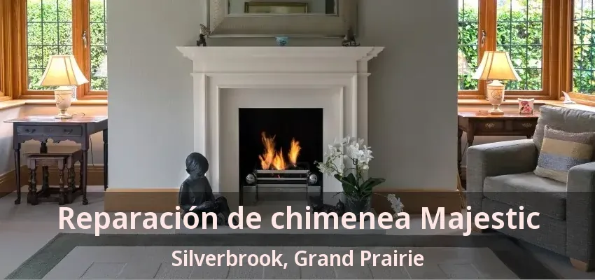 Reparación de chimenea Majestic Silverbrook, Grand Prairie - TX