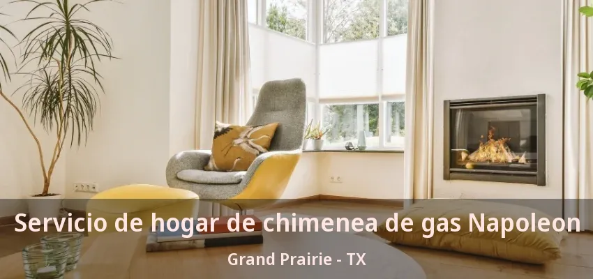 Servicio de hogar de chimenea de gas Napoleon Grand Prairie - TX Servicio de hogar de chimenea de gas Napoleon Grand Prairie - TX