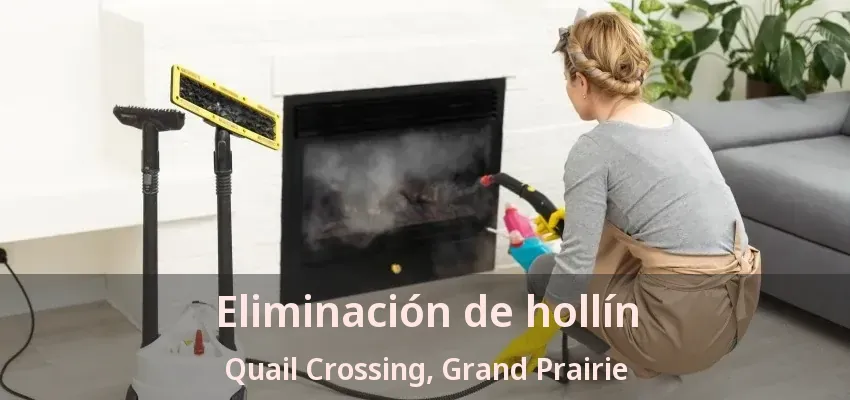 Eliminación de hollín Quail Crossing, Grand Prairie - TX Eliminación de hollín Quail Crossing, Grand Prairie - TX