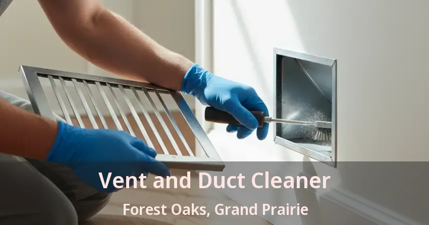 Vent and Duct Cleaner Forest Oaks, Grand Prairie - TX